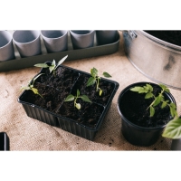 Кассета для рассады, на 4 ячейки, по 180 мл, пластиковая, чёрная, 18 &times; 13 &times; 6 см, в наборе 10 кассет, Greengo