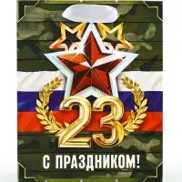 Пакет подарочный ламинированный &laquo;23 февраля&raquo;, S 12 х 15 х 5.5 см