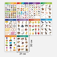 Набор обучающих плакатов &laquo;Изучаем мир&raquo;, 10 в 1, А4