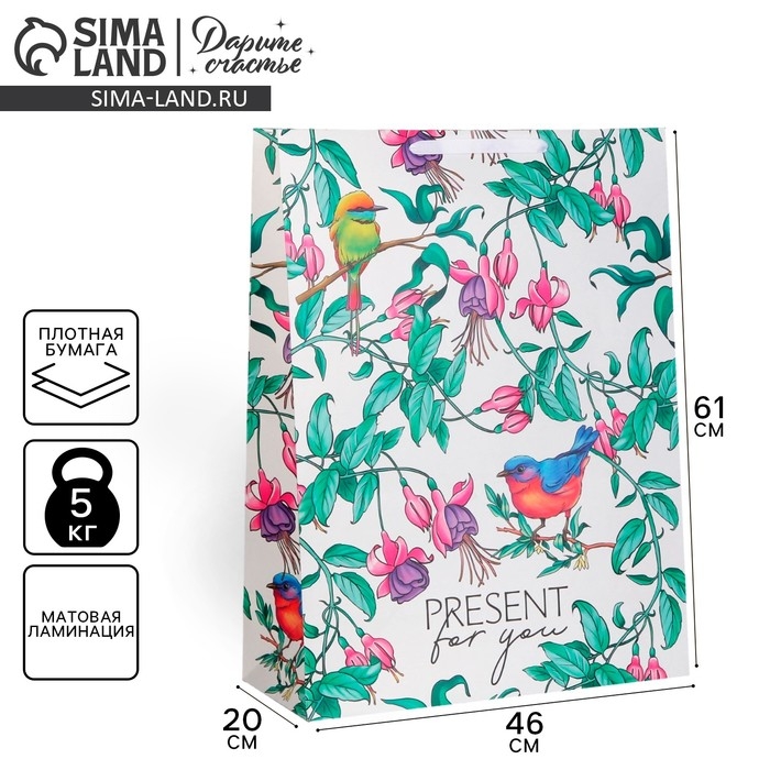 Пакет подарочный ламинированный вертикальный, упаковка, &laquo;Present for you&raquo;, 61 х 46 х 20 см