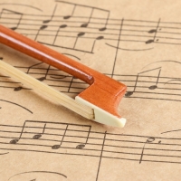 Смычок для скрипки Music Life 4/4 Смычок для скрипки Music Life 4/4