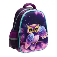 Рюкзак каркасный школьный, 39 х 30 х 14 см, Calligrata "Сова"