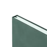 Ежедневник Horizon, недатированный, серый с зеленым