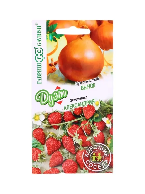 Семена Лук репч. Бычок 0,5 г+Земляника Александрия 0,03 г серия Дуэт Хорошие соседи