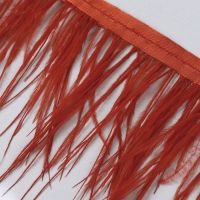 Тесьма с перьями страуса, 8-10 см, 5 &plusmn; 0,5 м, цвет алый