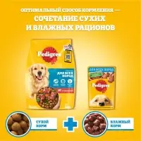 Влажный корм Pedigree для собак телячья печень, желе, пауч,  85 г