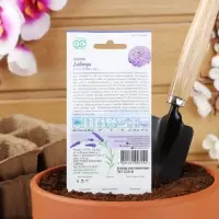 Семена цветов Цинния Лаванда "Лавандовые грёзы", ц/п,  0,5 г