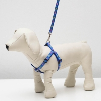 Шлейка с поводком &laquo;Цветные следы&raquo;, 23-35 см, ширина 1 см, поводок 120 см, синяя