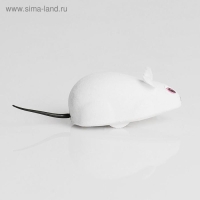 Мышь заводная, 7 см, белая