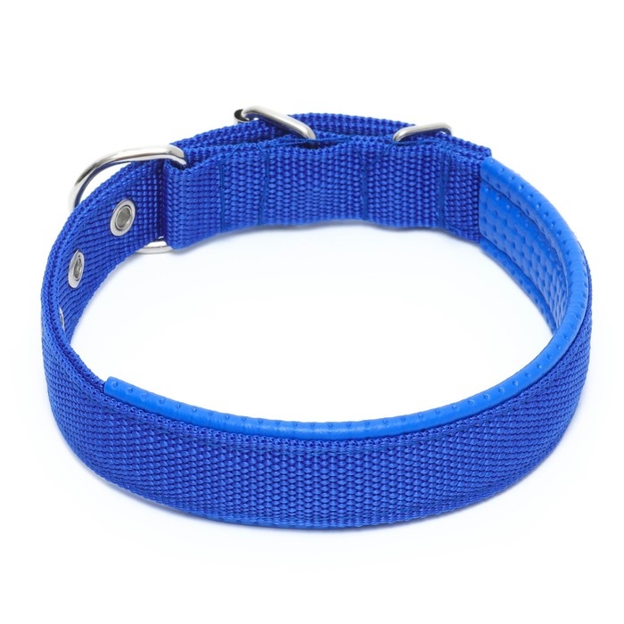 Ошейник Ошейник "Комфорт" комбинированный, 55 х 2,5 см, ОШ 40-50 см, синий