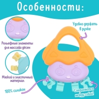 Набор прорезывателей для зубов &laquo;Забавные зверята&raquo;, 4 шт.