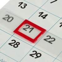 Календарь перекидной на скрепке "Символ года - 5" с курсором, 2025 год, 29 х 29 см Календарь перекидной на скрепке "Символ года - 5" с курсором, 2025 год, 29 х 29 см