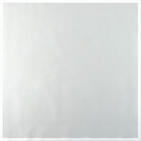 Плёнка для цветов матовая упаковочная &laquo;Кайма&raquo; белая 0,5х9 м