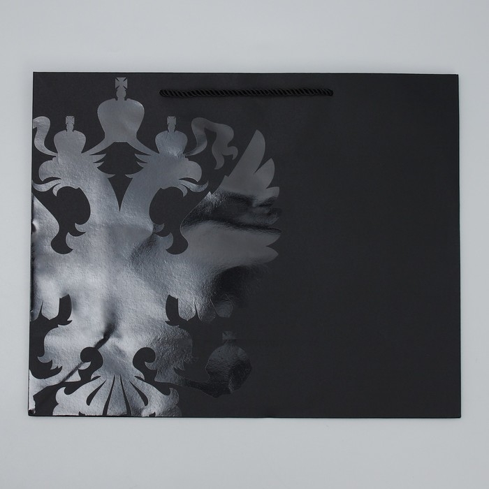 Пакет подарочный, упаковка, &laquo;Россия&raquo;, L 38 х 29 х 13 см