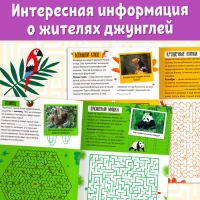 Книга &laquo;Лабиринты и факты. По лианам в джунгли&raquo;, 24 стр.