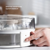 Йогуртница Galaxy GL 2698, 30 Вт, 180 мл, 7 ёмкостей, стекло, бело-серая Йогуртница Galaxy GL 2698, 30 Вт, 180 мл, 7 ёмкостей, стекло, бело-серая