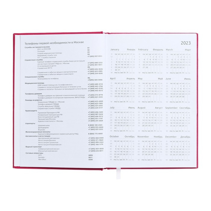 Ежедневник датированный 2024 года, А5, 176 листов, Attomex.Even, обложка бумвинил, ляссе, блок 70 г/м2, розовый