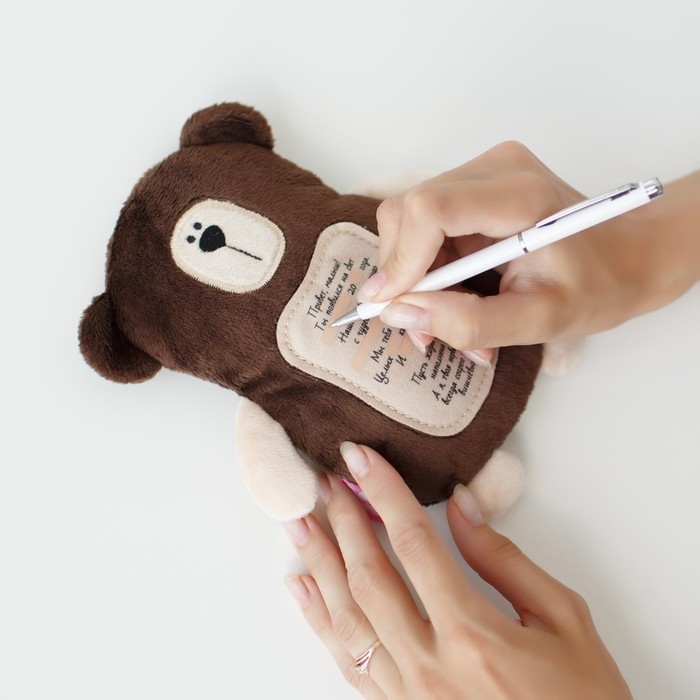 Мягкая игрушка 3 в 1 &laquo;Мишка&raquo; с метрикой, с вишнёвыми косточками, 19,5 см