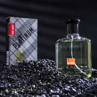 Парфюмерная вода мужская Red Label Platinum, 100 мл (по мотивам Egoiste Platinum (Chanel) Парфюмерная вода мужская Red Label Platinum, 100 мл (по мотивам Egoiste Platinum (Chanel)