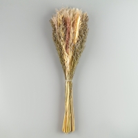 Букет из сухоцветов &laquo;Мечта&raquo;, набор из 85 шт., высота 47 см