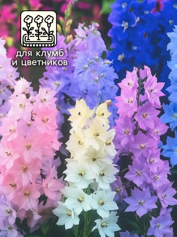 Семена цветов Дельфиниум "Махровый", ц/п,  0,05 г