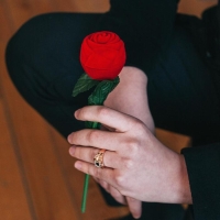 Футляр бархатный под кольцо &laquo;Роза на стебле&raquo; 4,5&times;4,5, цвет красно-зелёный, вставка белая