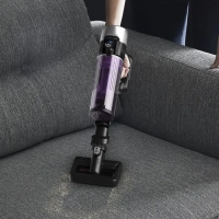 Беспроводной пылесос X-Force Flex 9.60 Allergy TY2038WO