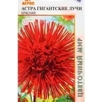 Семена Астра гигант Лучи Красная 0,3 г