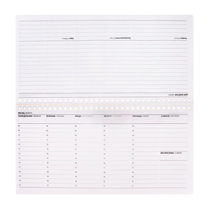 Планинг недатированный 130 х 300 мм, 50 листов, на гребне, мягкая обложка, "Самый лучший учитель"