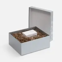 Коробка Wintry, серебристая