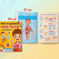 Наклейки набор &laquo;Тело человека&raquo;, 2 шт. по 16 стр.