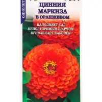 Семена Цинния Маркиза в Оранжевом /Сотка/ 0,2г/ h-90см, d-15см / *1000