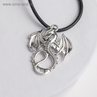 Кулон на шнурке &laquo;Дракон&raquo; хвостатый, цвет чернёное серебро на чёрном шнурке, 42 см