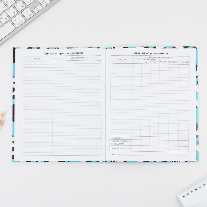 Дневник школьный 5-11 класс &laquo;Панды&raquo;, твердая обложка 7БЦ, глянцевая ламинация, 48 листов