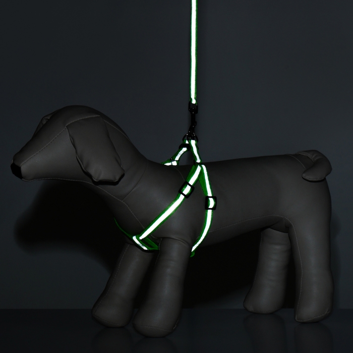 Комплект со светоотражающей лентой, ошейник 120 х 1 см, ОГ 26-40 см, зеленый