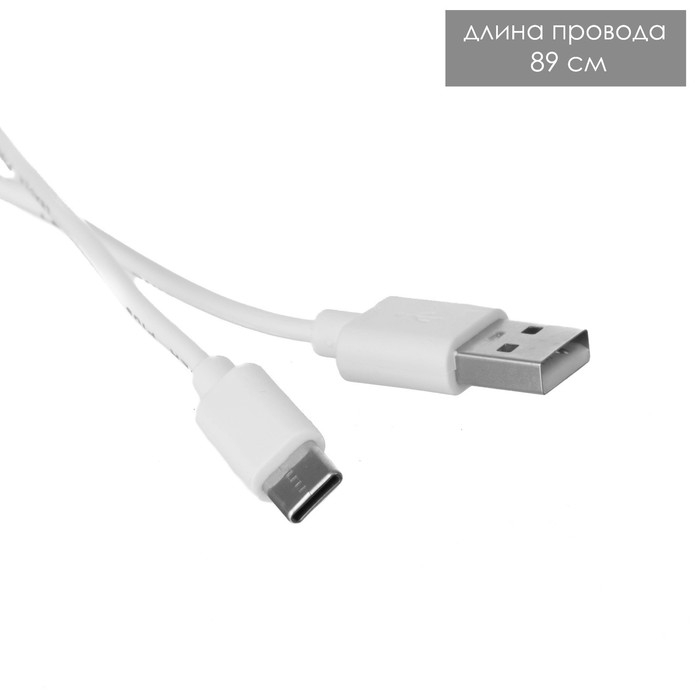 Настольная лампа Настольная лампа "Эльмо" LED 2Вт USB АКБ 5,5х12,5х24 см RISALUX