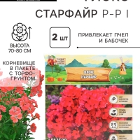 Флокс &laquo;Старфайр&raquo; корневище в пакете с торфогрунтом, р-р I, 2 шт.