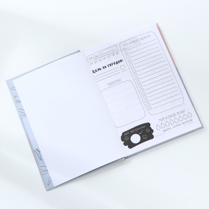 Ежедневник творческого человека &laquo;Ты настоящее вдохновение&raquo;, А5, 120 листов