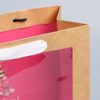 Пакет подарочный новогодний крафтовый с пластиковым окном «Новогодние шары», 24 х 20 х 11см Пакет подарочный новогодний крафтовый с пластиковым окном «Новогодние шары», 24 х 20 х 11см