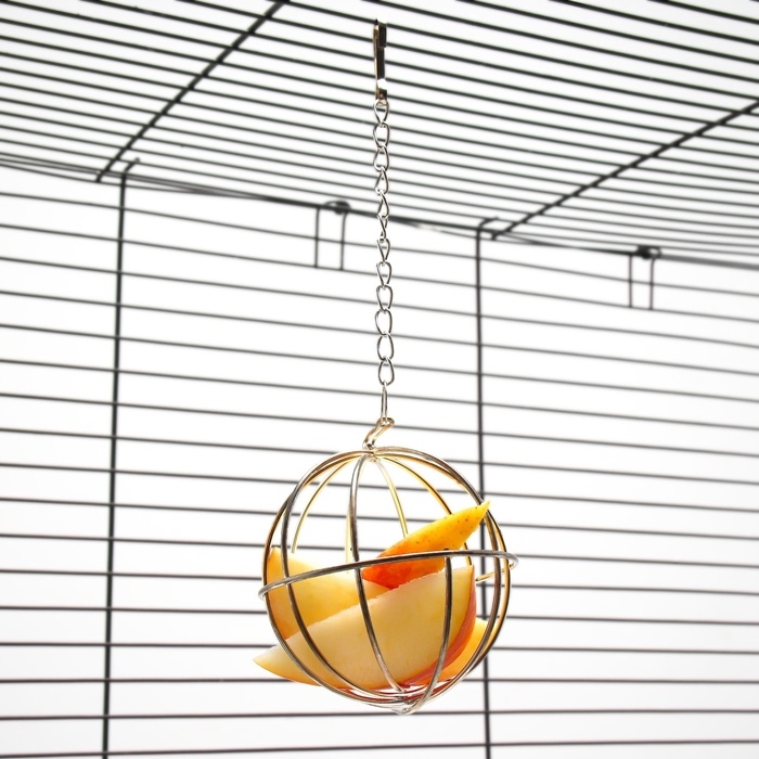 Кормушка для сена металлическая сфера, 8 х 8 х 15 см