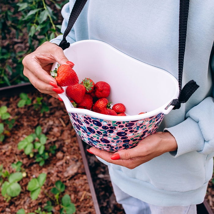 Ёмкость для сбора ягод, 3 л, &laquo;Ягодный&raquo;, белая