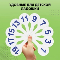 Набор веер-касс, гласные, согласные, цифры от 1 до 20, Calligrata TOP, плотные, 3 штуки, пакет с европодвесом Набор веер-касс, гласные, согласные, цифры от 1 до 20, Calligrata TOP, плотные, 3 штуки, пакет с европодвесом