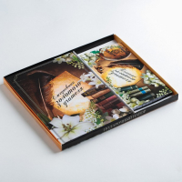 Подарочный набор &laquo;Золотому Учителю&raquo;: ежедневник А5 80 листов и планинг с отрывными листами 50 листов