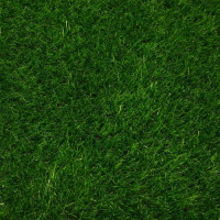 Газон искусственный, ворс 30 мм, 2 &times; 5 м, трёхцветный, тёмно-зелёный, Greengo