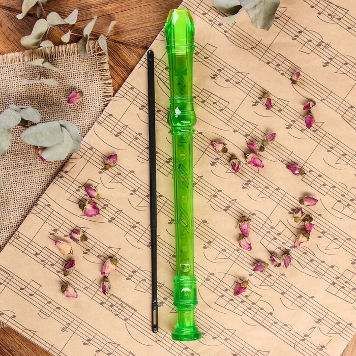 Блокфлейта Music Life, 8 отверстий, немецкая система, зеленая