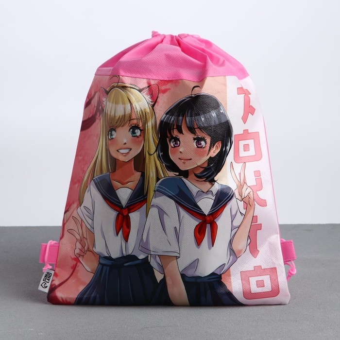 Мешок для обуви &laquo;Школьницы&raquo; полиэстер, размер 30 х 40 см