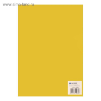 Обложки для переплета A4, 180 мкм, 100 листов, пластиковые, прозрачные желтые, Гелеос