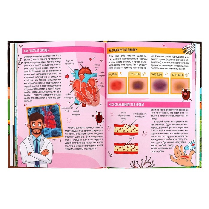 Энциклопедия в твёрдом переплёте &laquo;Как всё устроено&raquo;, 64 стр.