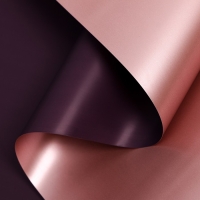 Пленка для цветов, 58 см х 5 м Пленка для цветов, 58 см х 5 м