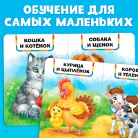 Книга картонная &laquo;Мамы и малыши&raquo;, 10 стр.